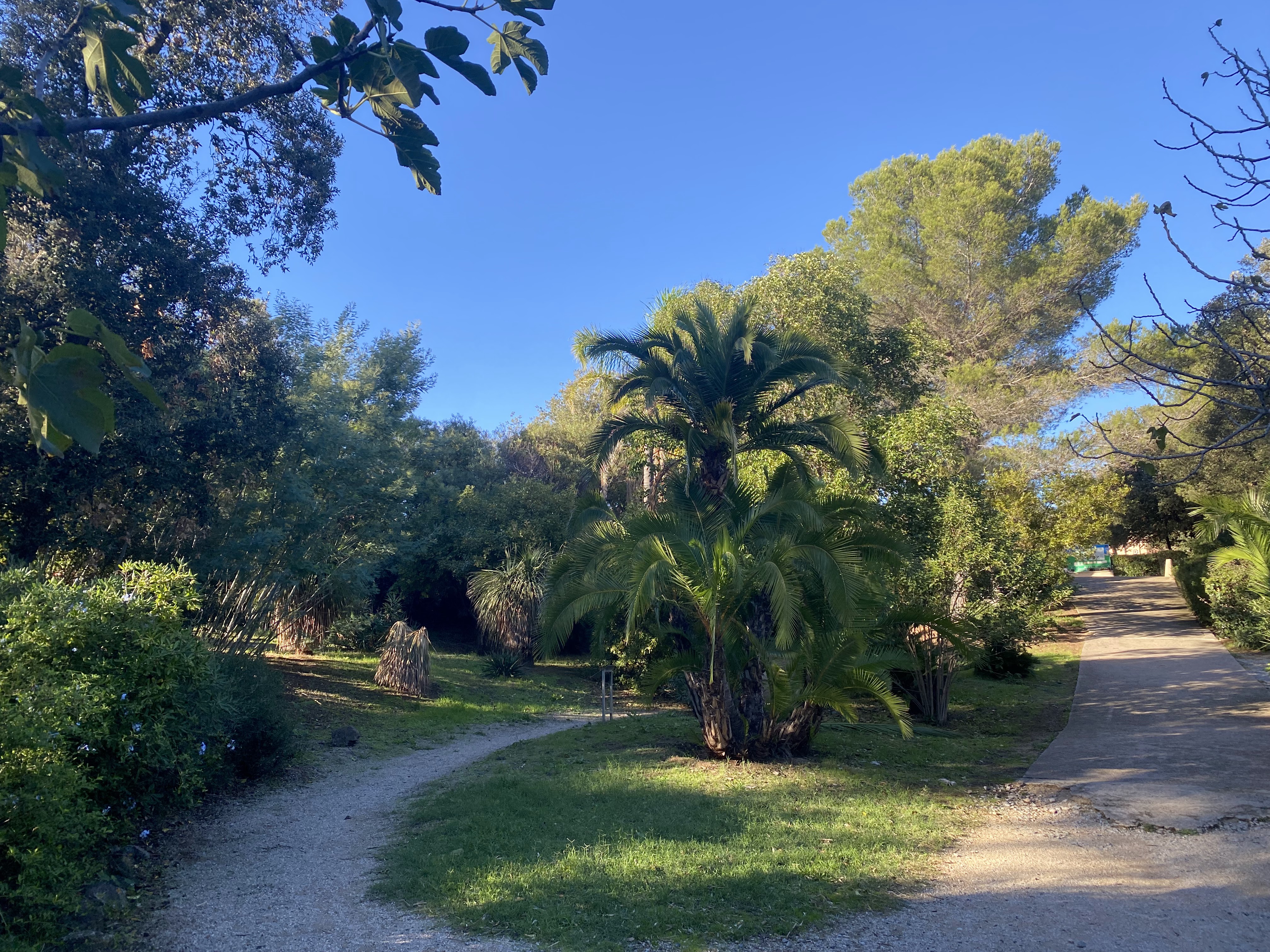 Photo n° 1 de l'avis de Véronique.I fait le 05/11/2023 à 14:25