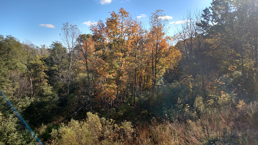 Nature Preserve «Raceway Woods Forest Preserve», reviews and photos, State Rte 31, Carpentersville, IL 60110, USA