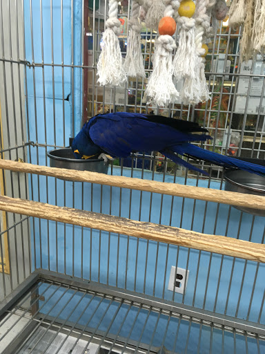 Pet Store «The Pet Shop», reviews and photos, 165 Harvard Ave, Allston, MA 02134, USA