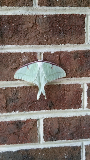 Internet Service Provider «Hargray», reviews and photos, 65 Towne Dr #65, Bluffton, SC 29910, USA