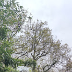 Photo n° 3 de l'avis de Aurelie.h fait le 11/04/2023 à 21:30 pour Zoo de La Flèche à La Flèche