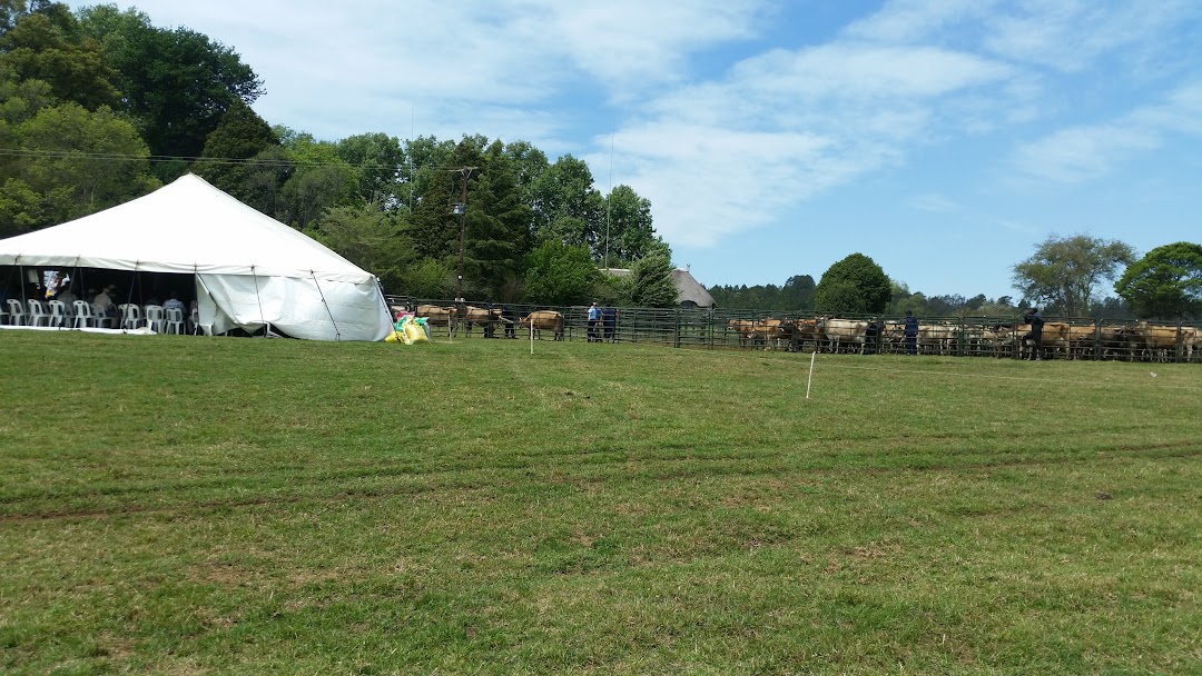 Babinnie Jersey Farm