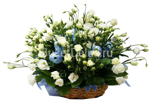 Florist «Gallery of Flowers Ny Corporation», reviews and photos, 1151 Brighton Beach Ave, Brooklyn, NY 11235, USA