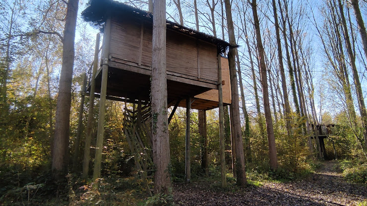 Photos des visiteurs Lodge Les Nids de Chlorofil 59239 La Neuville