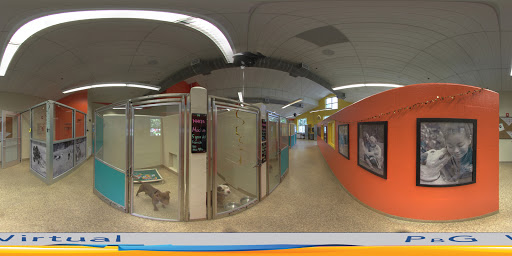 Animal Protection Organization «Charleston Animal Society», reviews and photos