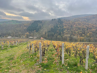 DOMAINE SYLVAIN DESCOMBES à Jullié