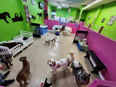 Dog Sense Day Care & Grooming