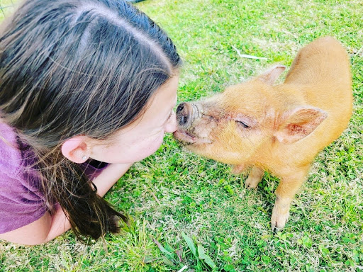 Plumber «Heritage Plumbing Inc», reviews and photos, 326 Gilmer Ferry Rd, Ball Ground, GA 30107, USA