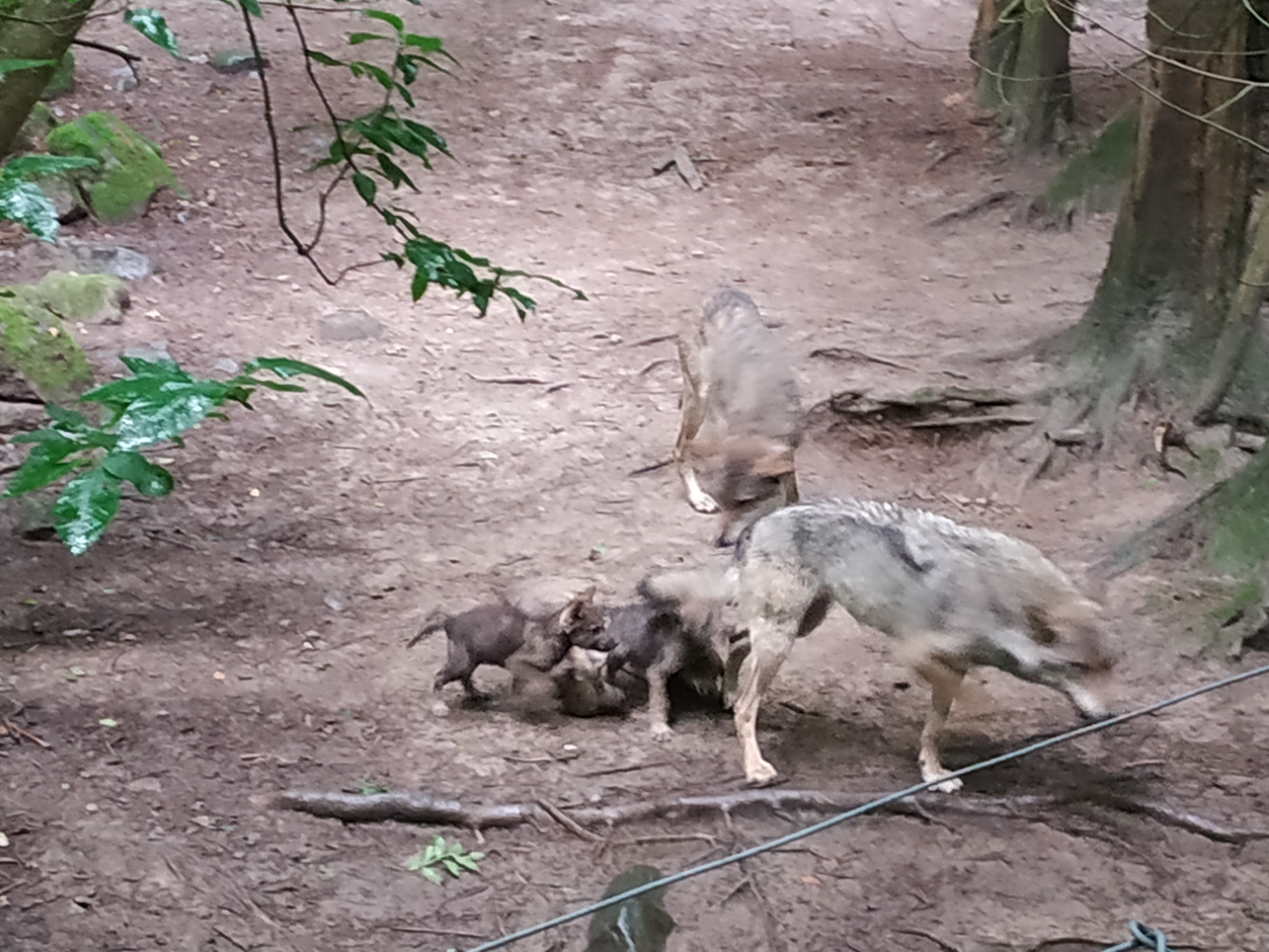Photo n° 3 de l'avis de Hans.a fait le 04/07/2019 à 08:41