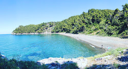 Foto von Vlachia beach wilde gegend
