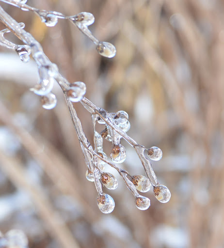 Nature Preserve «Creasey Mahan Nature Preserve», reviews and photos, 12501 Harmony Landing Rd, Goshen, KY 40026, USA