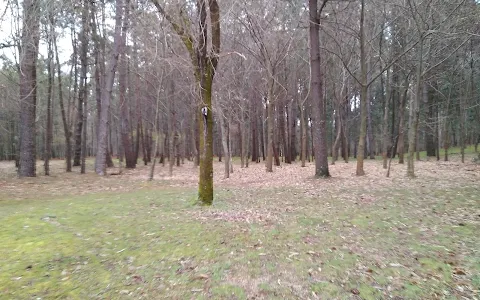 Parque Forestal De Zamáns image