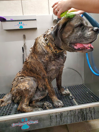 Pet Supply Store «Pet Supplies Plus», reviews and photos, 1411 S Stockton St, Lodi, CA 95240, USA