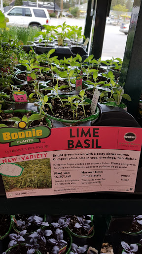 Discount Store «Kmart», reviews and photos, 252 Main St, Acton, MA 01720, USA