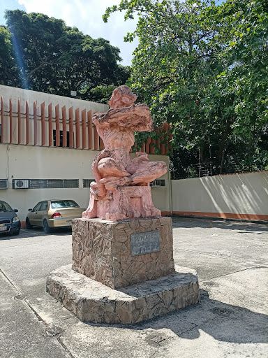Colegio de Médicos del Estado Carabobo