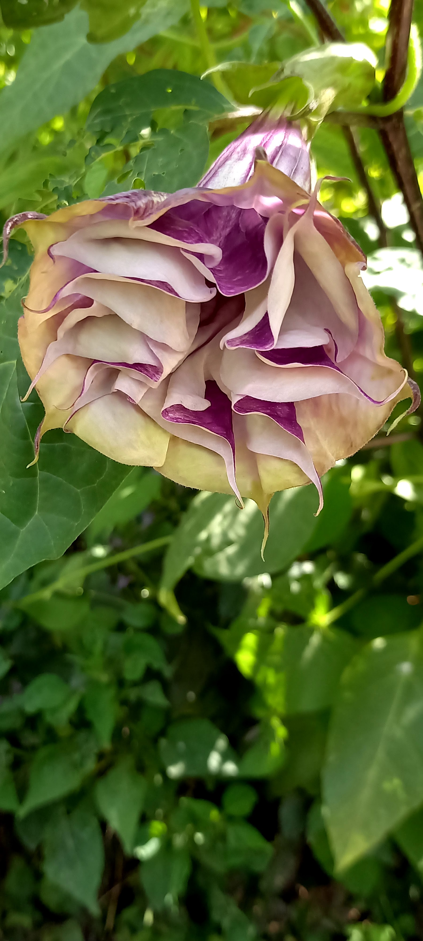 Photo n° 1 de l'avis de A.M.. fait le 01/09/2022 à 12:24