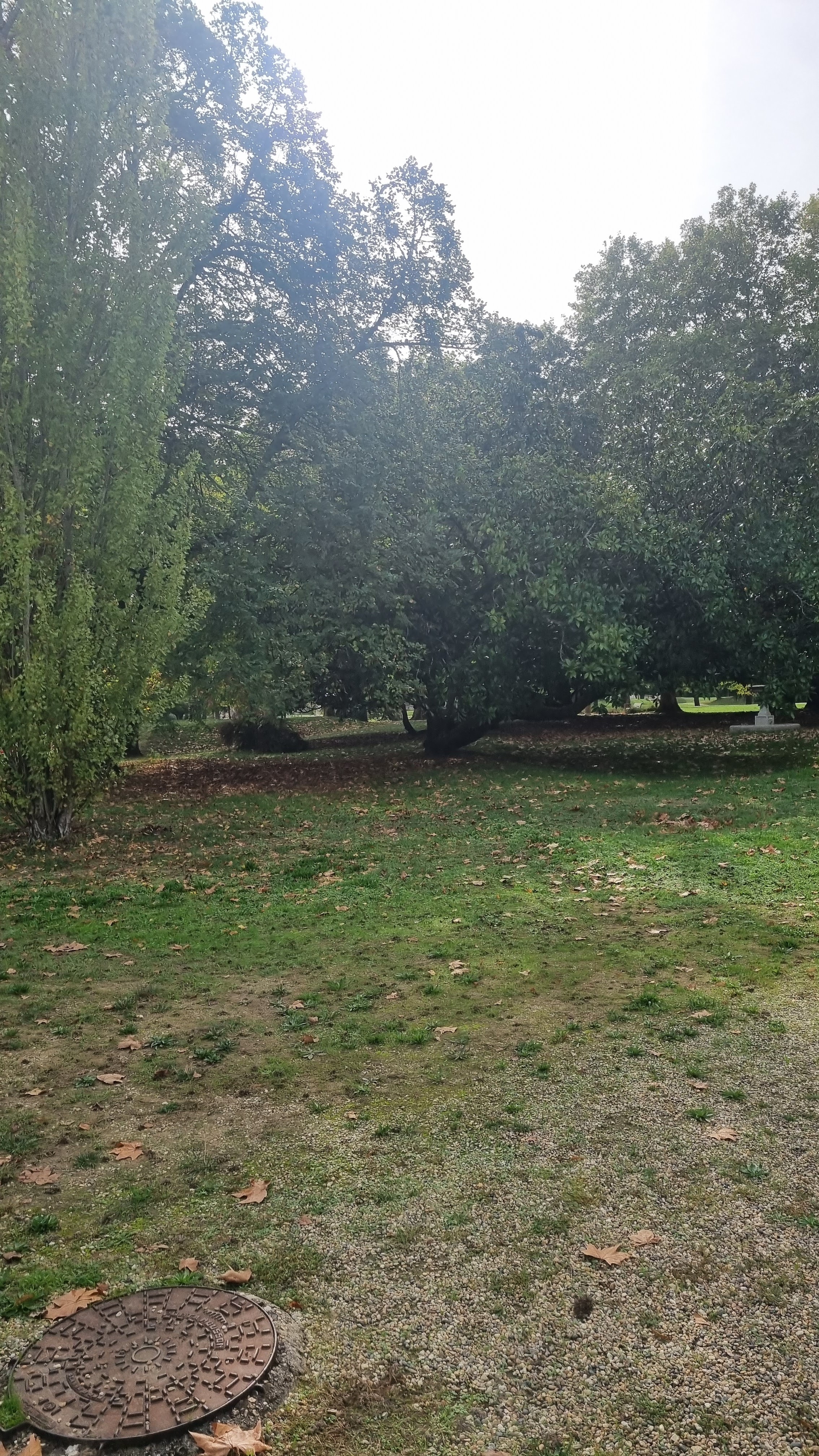 Photo n° 1 de l'avis de Sebastián.u fait le 06/11/2022 à 07:31