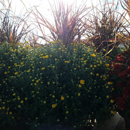 Hardware Store «Westlake Ace Hardware 080», reviews and photos, 708 S Aspen Ave, Broken Arrow, OK 74012, USA