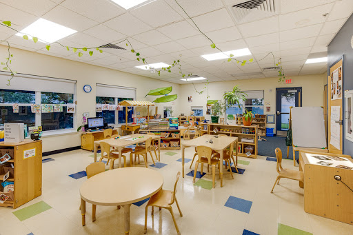 Preschool «Bright Horizons at Winter Garden», reviews and photos, 1660 Daniels Rd, Winter Garden, FL 34787, USA