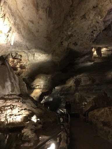 Tourist Information Center «Carlsbad Caverns National Park Headquarters», reviews and photos