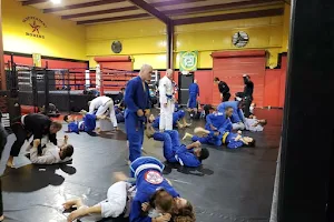 Independent MMA & Fitness image