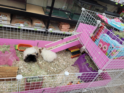 Pet Supply Store «Paw Shoppe Pet Center», reviews and photos, 6416 E Spring St, Long Beach, CA 90815, USA