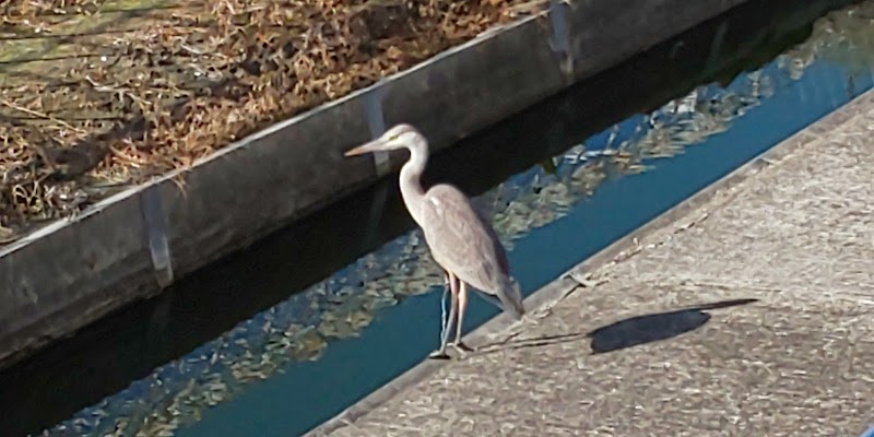 橋本農園