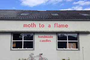Moth to a Flame image