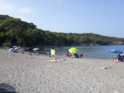 Foto von Phaselis Liman Kalintilari Beach mit sehr sauber Sauberkeitsgrad
