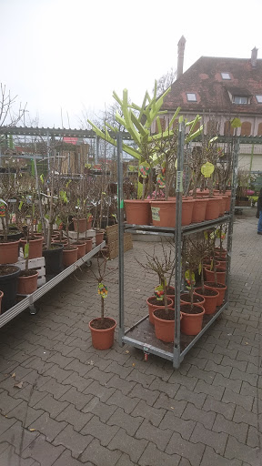 Shops zum Kauf von Outdoor-Pflanzen Nuremberg
