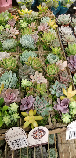 Florist «Sieck-Wright Floral Products», reviews and photos, 231 Monmouth St, Hightstown, NJ 08520, USA