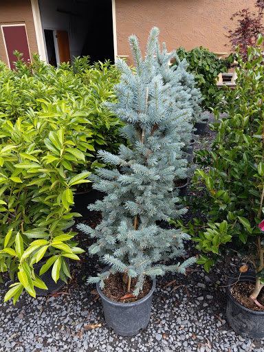 Hardware Store «Spotts Hardware», reviews and photos, 646 Stokes Rd, Medford, NJ 08055, USA