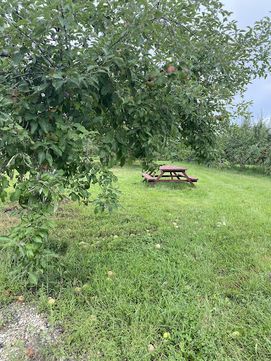 Winery «Furnace Brook Winery», reviews and photos, 508 Canaan Rd, Richmond, MA 01254, USA