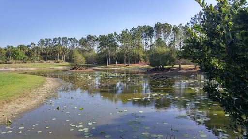 Golf Course «Royal St. Cloud Golf Links», reviews and photos, 5310 Michigan Ave, St Cloud, FL 34769, USA