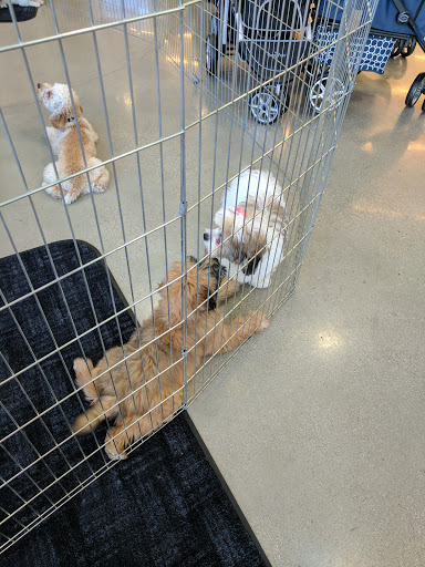 Pet Supply Store «Pet Food Express», reviews and photos, 320 S Lake Ave, Pasadena, CA 91101, USA