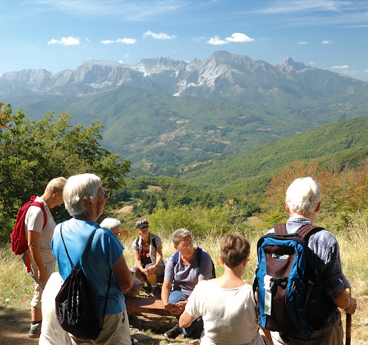 Mols Rejser - Rejsebureau