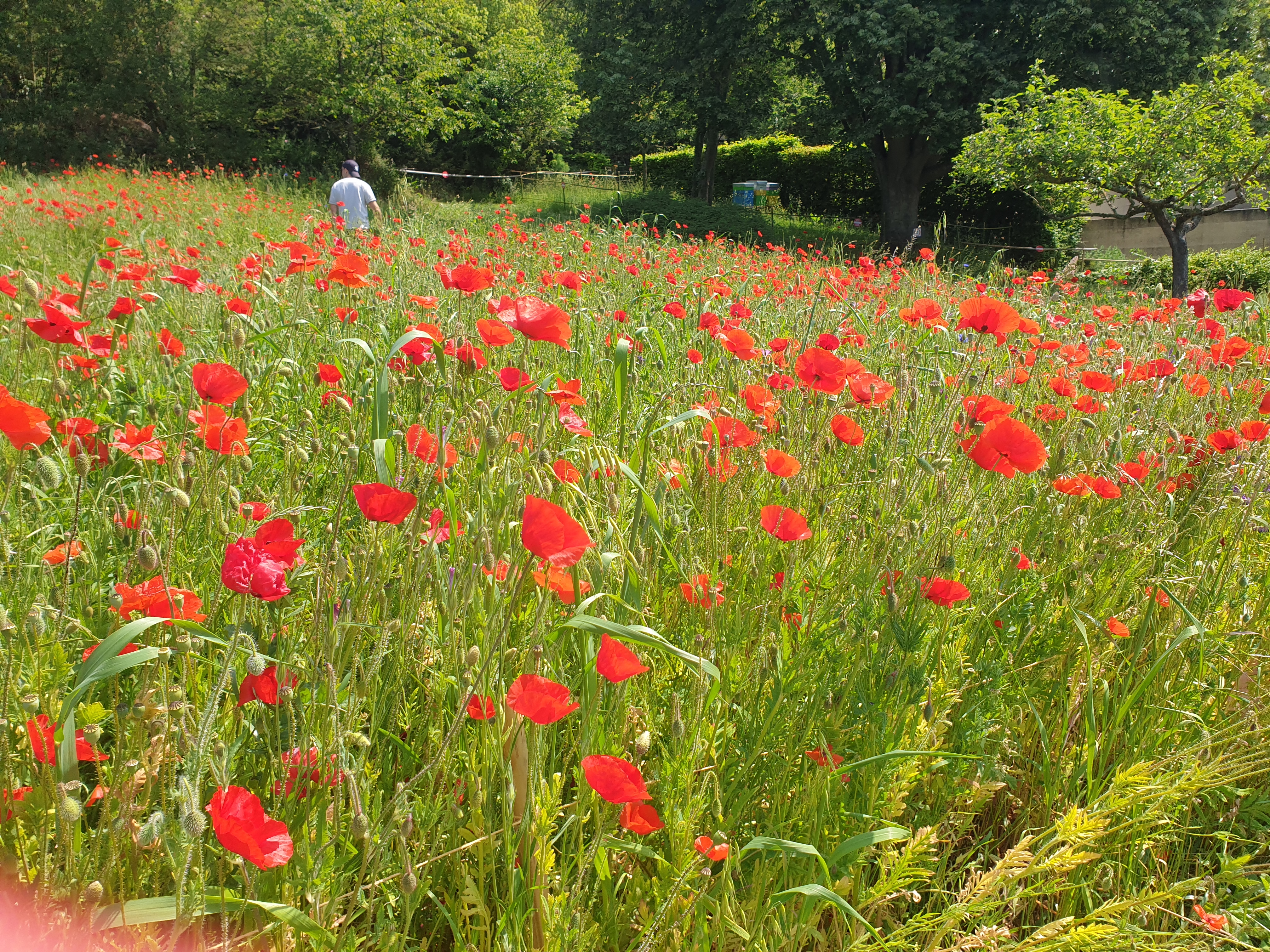 Photo n° 4 de l'avis de Christine.r fait le 30/05/2023 à 18:40
