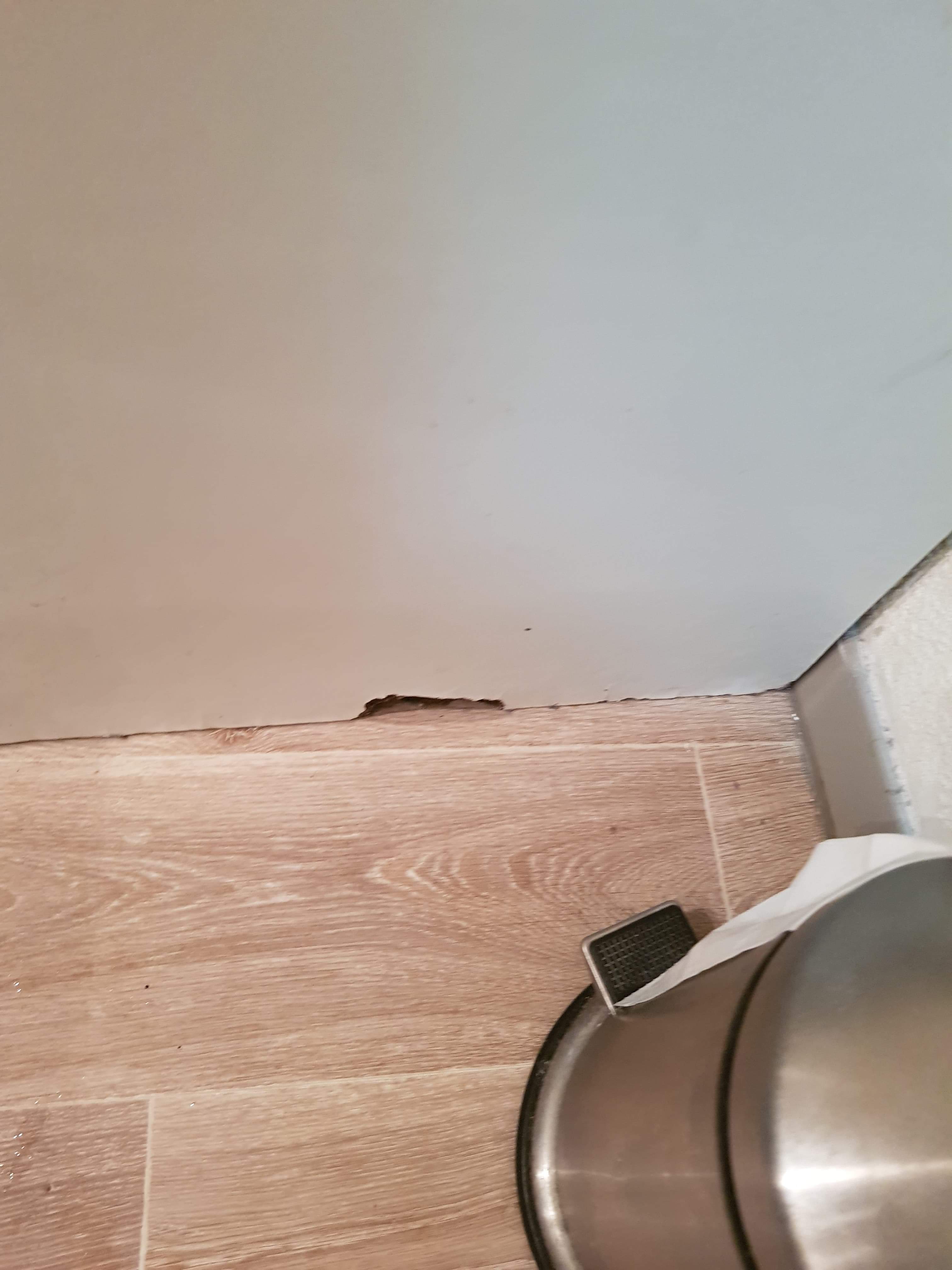 Photo n° 5 de l'avis de Nicolas.U fait le 23/02/2019 à 10:49