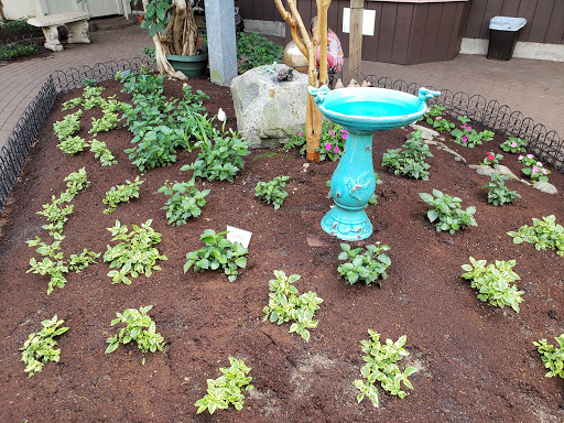 Garden «The Butterfly Place», reviews and photos, 120 Tyngsboro Rd, Westford, MA 01886, USA