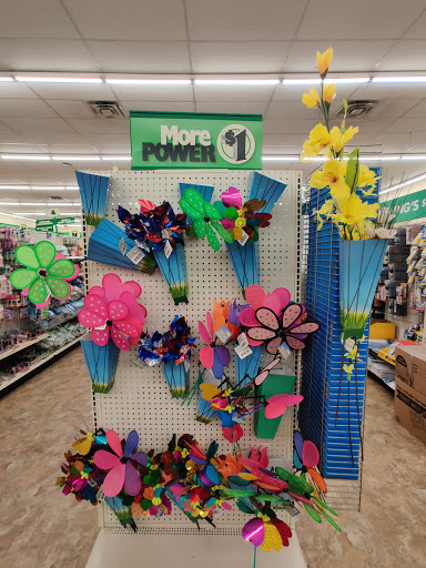 Dollar Store «Dollar Tree», reviews and photos, 11150 Research Blvd, Austin, TX 78759, USA