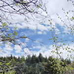 Photo n° 2 de l'avis de Sebastien.A fait le 04/05/2023 à 17:51 pour Le Chaos de Landeyrat à Landeyrat