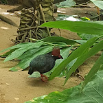 Photo n° 14 de l'avis de Mostrey.a fait le 03/08/2019 à 17:43 pour Le Zoo d'Upie à Upie