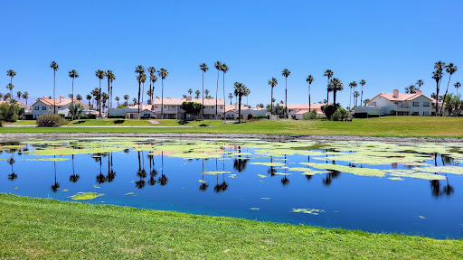 Golf Course «Desert Falls Country Club», reviews and photos, 1111 Desert Falls Pkwy, Palm Desert, CA 92211, USA
