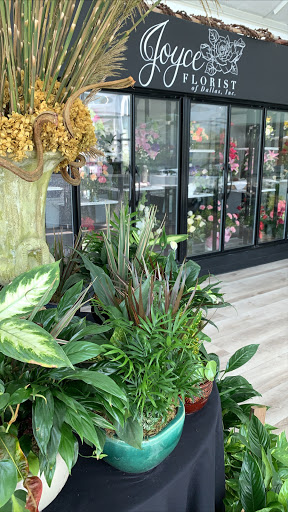 Joyce Florist of Dallas, Inc., 2729 S Hampton Rd, Dallas, TX 75224, USA, 