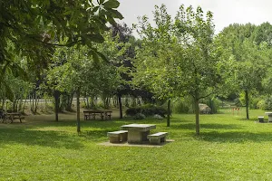 Il Piccolo Parco Della Castagna image