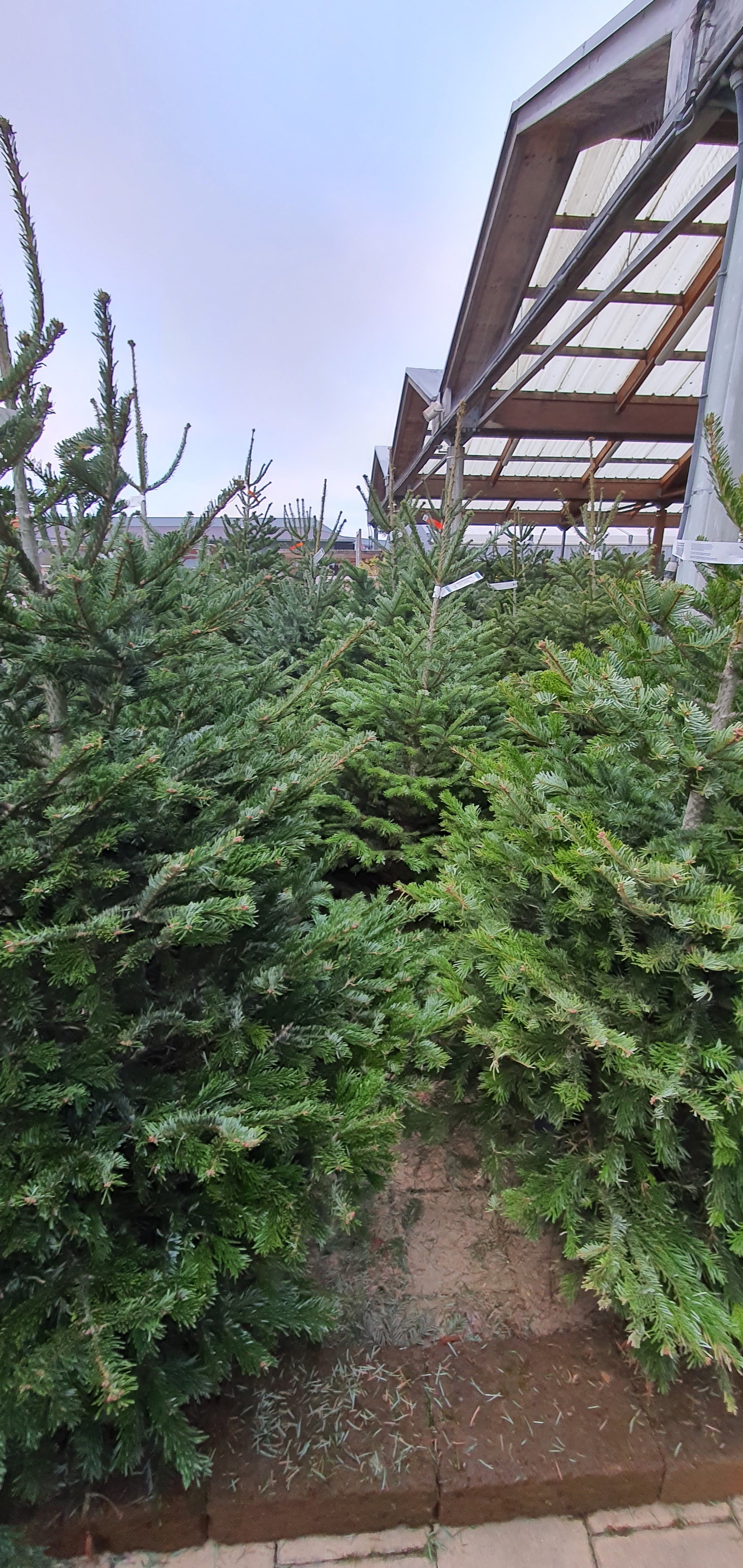 Photo n° 23 de l'avis de Chamroeun.H fait le 11/12/2022 à 03:53