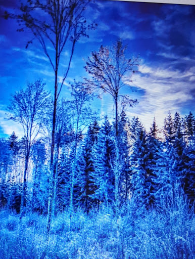 Art Museum «Worcester Art Museum», reviews and photos, 55 Salisbury St, Worcester, MA 01609, USA