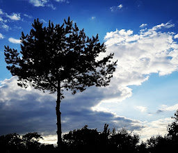 KGA Wuhlheide-Lichtenberg photo