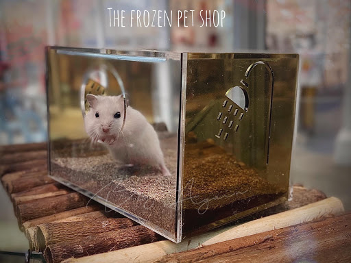 The Frozen Pet Shop