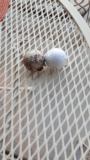 Golf Club «Wolf Run Golf Club», reviews and photos, 1400 Wolf Run Rd, Reno, NV 89511, USA